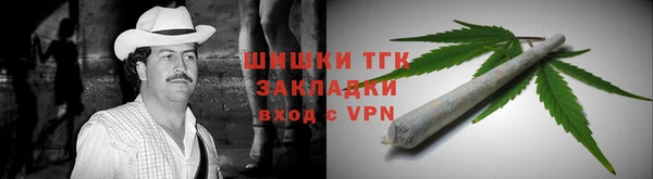 прущий лед Алзамай