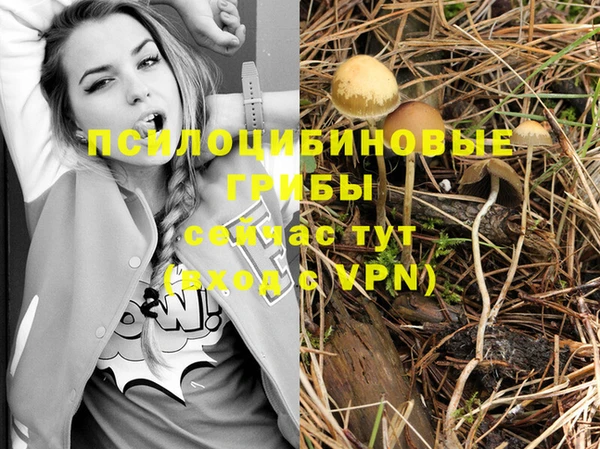 марки nbome Алексин