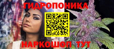 каннабис Лесосибирск