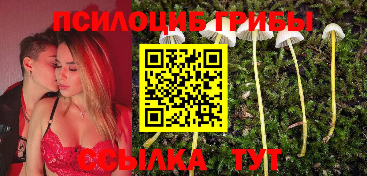 Галлюциногенные грибы Cubensis Заволжье