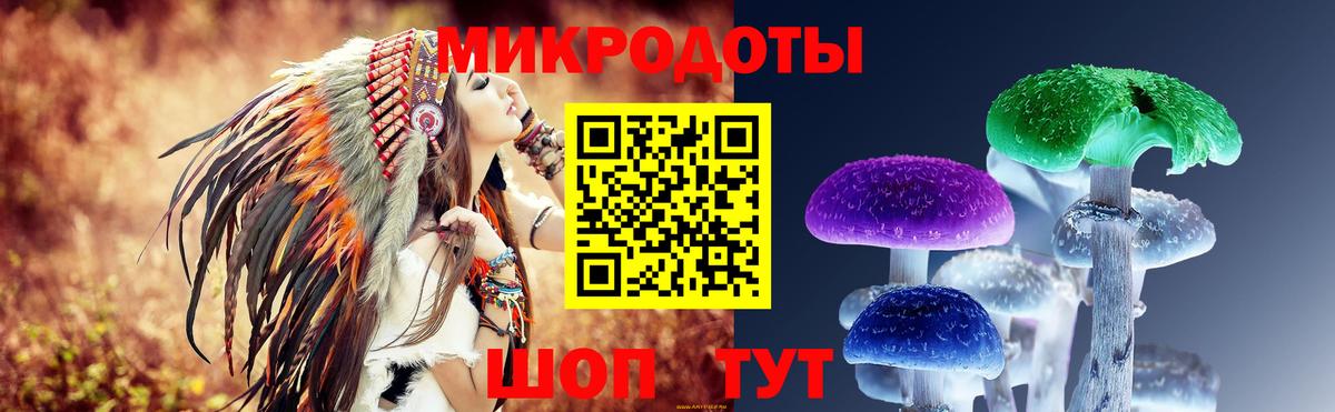Псилоцибиновые грибы Psilocybine cubensis  наркота  Заволжье  Вход с VPN 