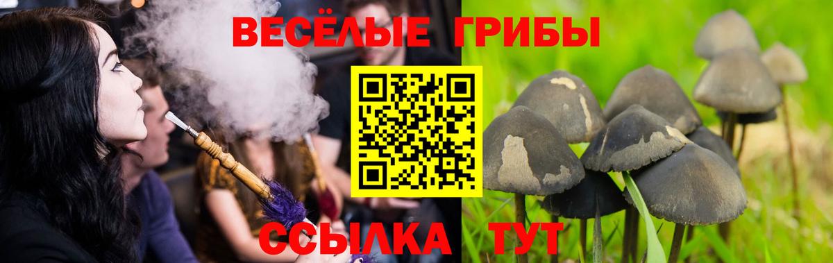 МЕФ   COCAIN  Заволжье  ЭКСТАЗИ  Гашиш  Вход с VPN  Бошки Шишки 